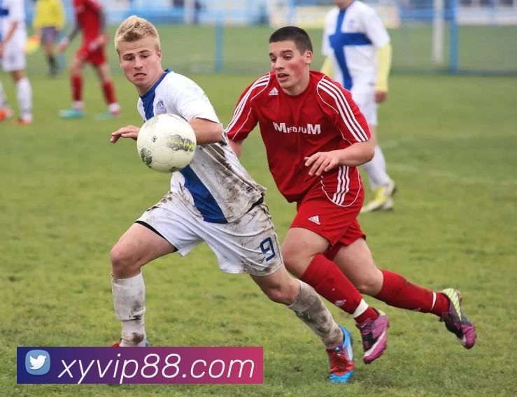 杏运体育官网发展历程