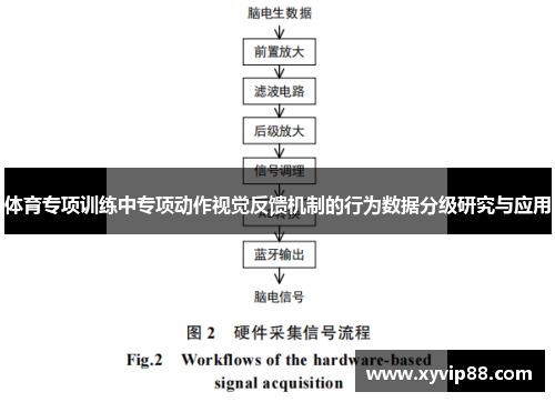 体育专项训练中专项动作视觉反馈机制的行为数据分级研究与应用